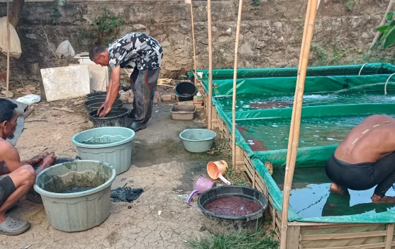 Spot Tersembunyi BKT: Kisah Pemuda Ubah Tantangan Menjadi Peluang Pasokan Pakan