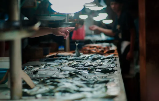 Muara Angke Kini Jadi Pusat Belanja Ikan Internasional