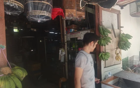 Potret Pedagang Burung Suara Merdu di Tengah Lesunya Bisnis Burung Kicau