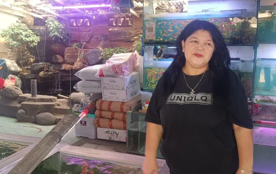 Resep Sukses Pedagang Ikan Hias: Omset Puluhan Juta di Pelepah Raya