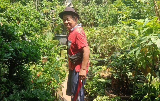 Menyemai Harapan dan Keindahan di Jalur Bisnis Tanaman Hias