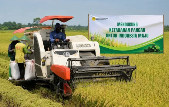 Modernisasi Pertanian dan Pangan Lokal Perkuat Ketahanan Pangan