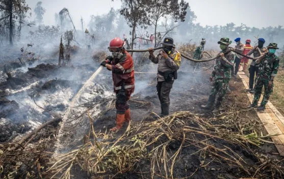 Kemenkes Siapkan Rekomendasi PJJ saat Kualitas Udara Memburuk akibat Karhutla