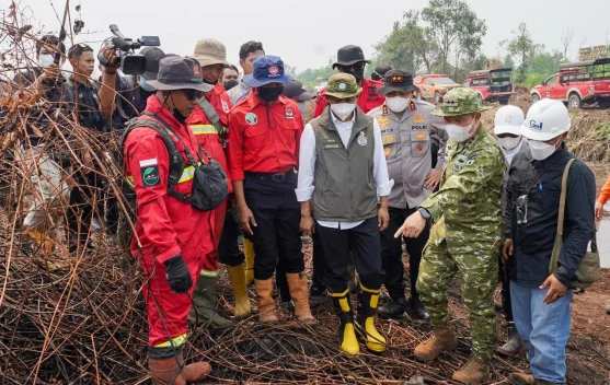 Menhut Raja Antoni: Penanganan Karhutla Riau Jadi Contoh yang Baik