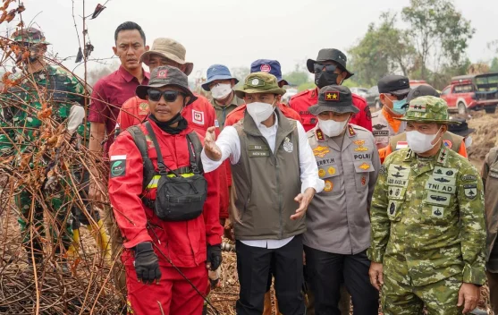 Menhut Minta Karhutla Pelalawan tak Ditinggal sebelum Pendinginan Tuntas