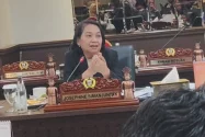 Dewan Dorong Aset DKI Jadi Mesin Pendapatan