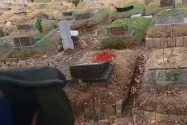 Kemarau, Rumput TPU Kemiri Rawamangun Kering