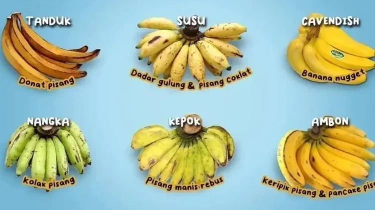 Varietas Pisang  Lokal yang Jarang Diketahui