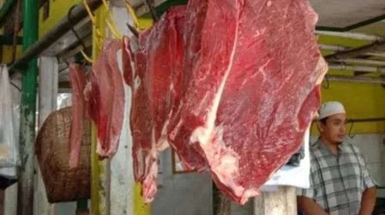 Menjelang Ramadhan,Distan Kota Jambi Cek Sample Daging di Pasaran