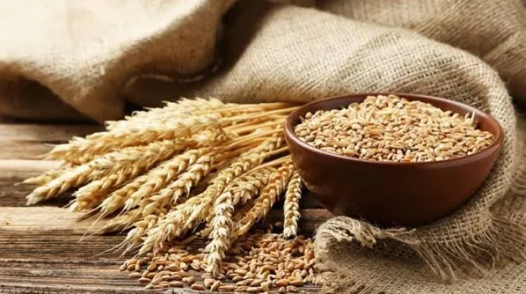 Cegah Obesitas dengan Rutin Mengonsumsi Makanan Ini
