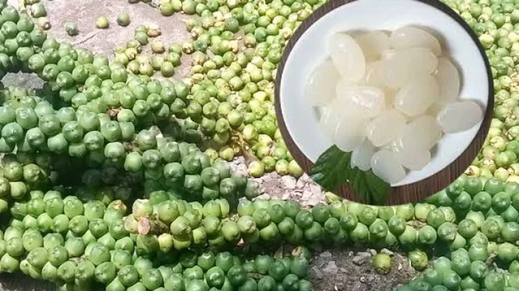 Kolang Kaling Seakan Hanya Ada di Bulan Ramadhan