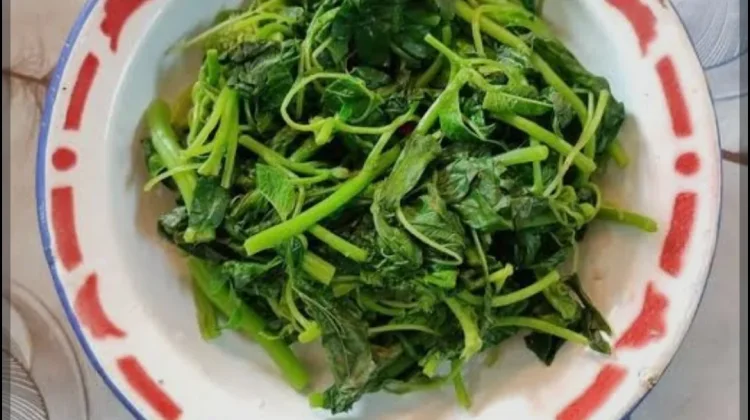 Makanan yang Sebaiknya Tidak Dipanaskan Ulang
