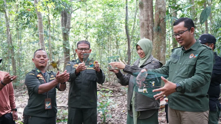 Karantina Jambi Gagalkan Pengiriman Burung tanpa Dokumen