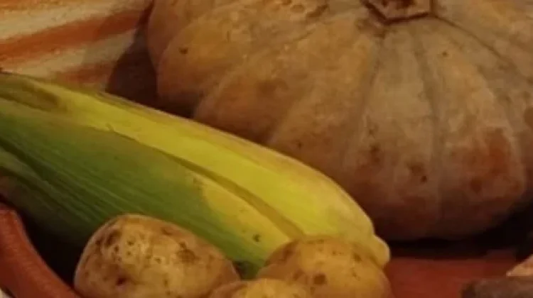 Realisasi Luas Panen Jagung Pipilan Capai 4.508 Ha
