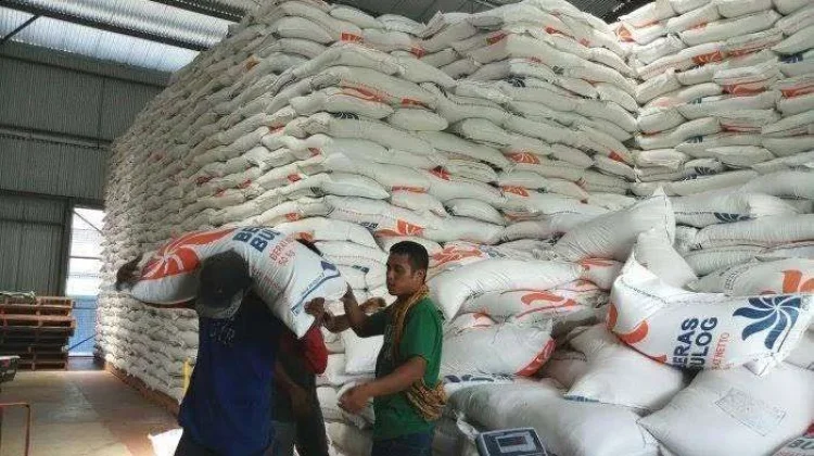 Bulog Kuala Tungkal Serap 1.984 Ton Gabah Petani jelang Lebaran