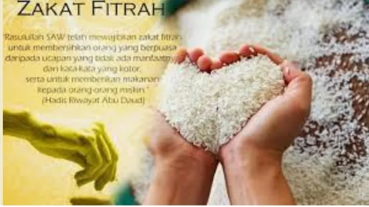 Ada Empat Kategori Zakat Fitra Tahun Ini