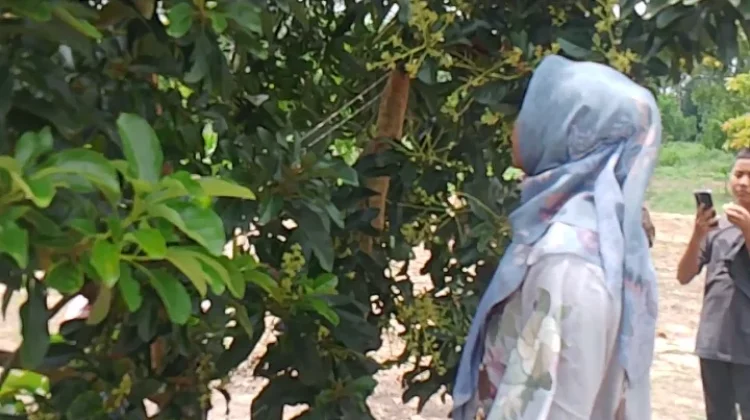 Libur Lebaran ke Kebun Menjadi Hal yang Menyenagkan