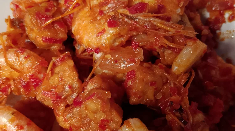 Sambal Udang Tempe Nikmat