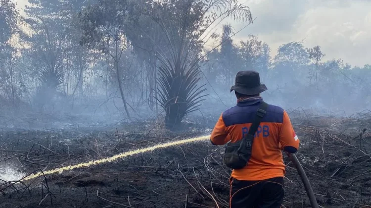 Belajar dari 2015 dan 2019, Pencegahan Karhutla di Jambi Harus Jadi Prioritas