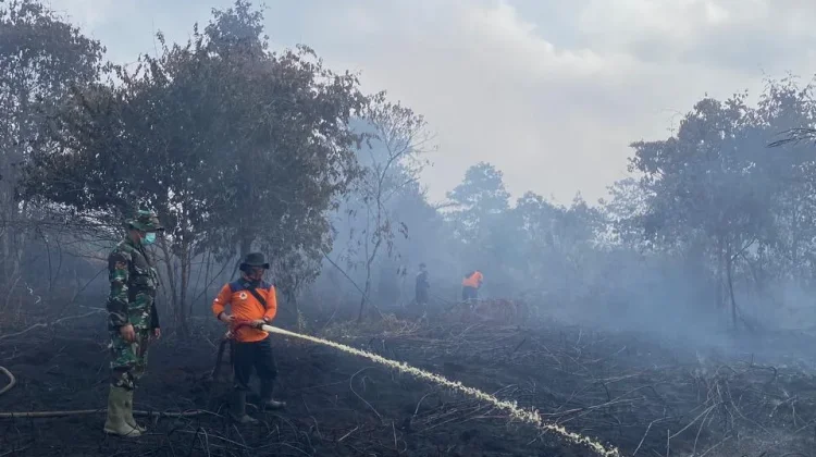 Kebakaran Gambut Masih Jadi Tantangan di Jambi