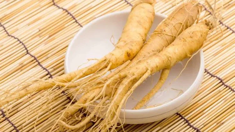 Herbal untuk Mengobati Diabetes