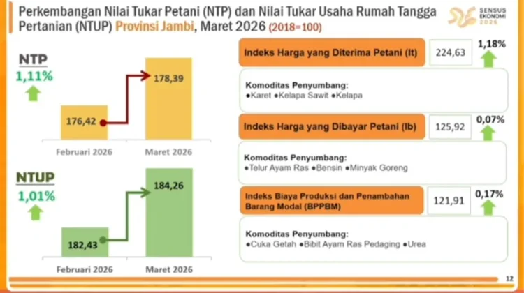 Nilai Tukar Petani provinsi Jambi Capai 178,39 pada Maret 2026