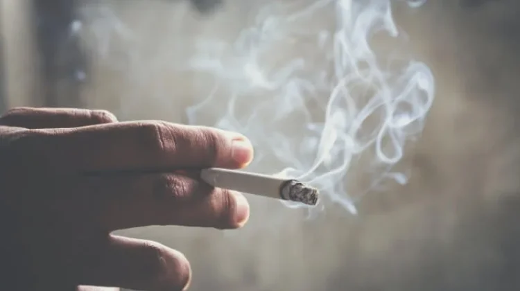 Hal yang Tidak Pernah Terpikirkan Tentang Asap Rokok