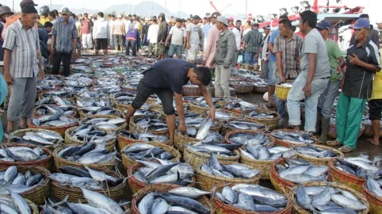 Penghasil Ikan Terbesar di Indonesia yang Jarang Diketahui