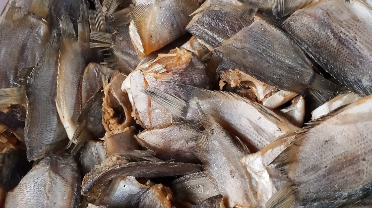 Membuat Ikan Asin Sungai