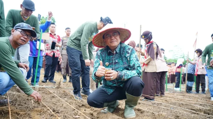 Walikota Jambi Dorong Percepatan Luas Tambah Tanam lewat Tanam Padi Gogo