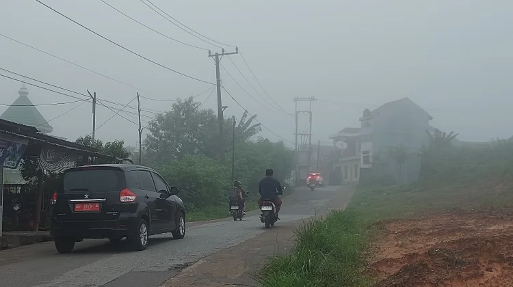 Embun Pagi Terasa Lebih Pekat, Ini Penyebab dan Kaitannya dengan Musim Kemarau