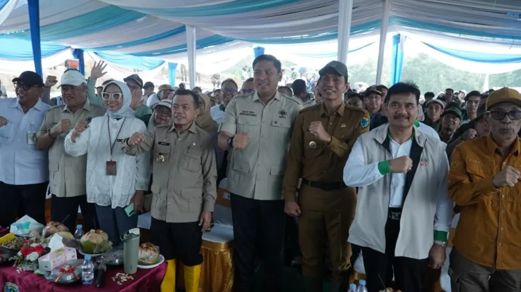 Kunker di Jambi, Wamentan RI ;Tanam Padi Cetak Sawah Rakyat