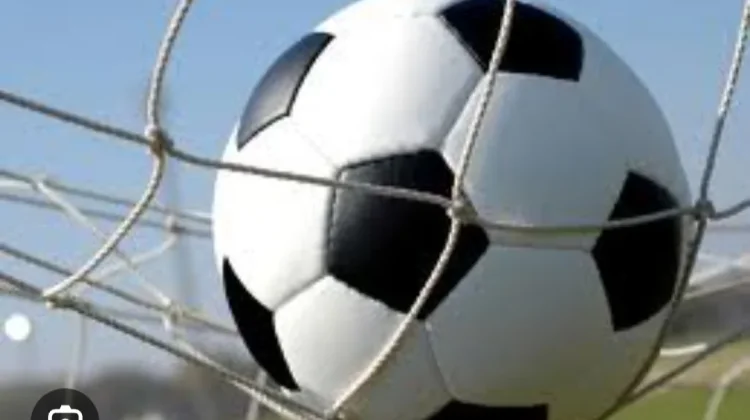 Istilah Bola Berbentuk bundar