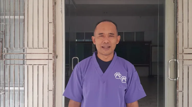 Disnak Sarolangun Perketat Pengawasan Ternak Menjelang Idul Adha