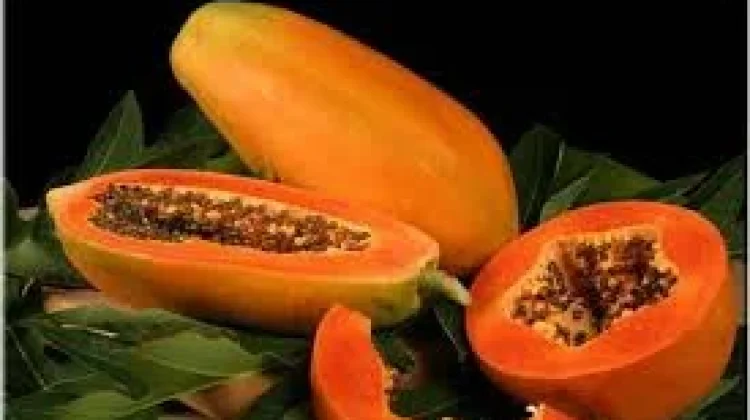 Manfaat Kandungan Pepaya Bagi Kesehatan