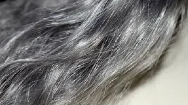 Penyebab Perubahan Rambut atau Beruban di Usia Muda