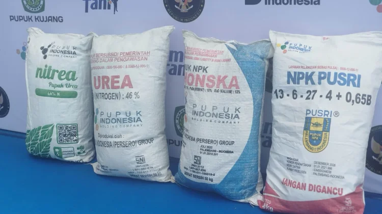 Harga Pupuk Subsidi Dipangkas 20% di Tengah Tekanan Global