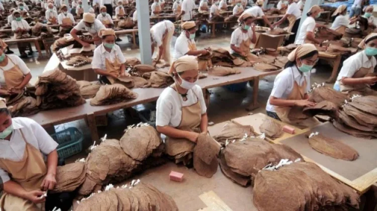 Dampak Kebijakan Upah Minimum terhadap Kesejahteraan Buruh