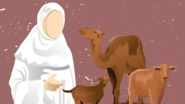 Hukum Menyembelih Hewan Qurban Bagi Wanita