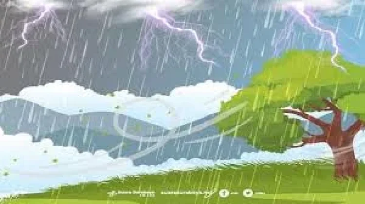 Dampak Perubahan Cuaca Ekstrem (Hujan ke Panas) terhadap Kesehatan