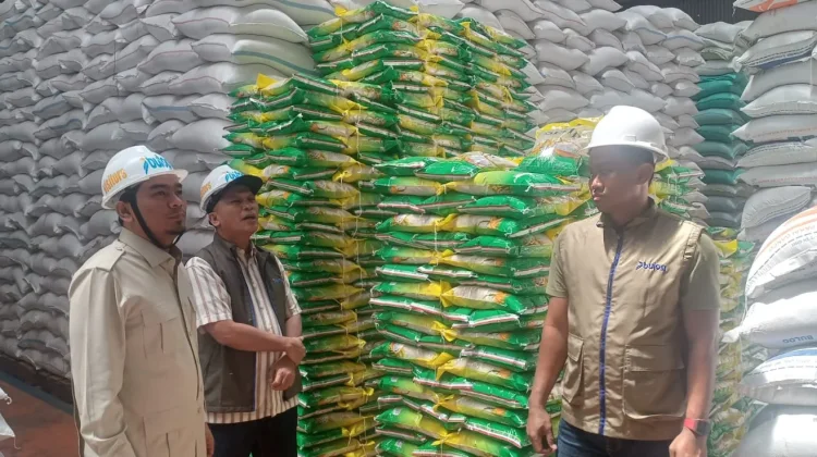 Jambi Surplus Pangan Cukup Penuhi Kebutuhan Selama 7 Bulan