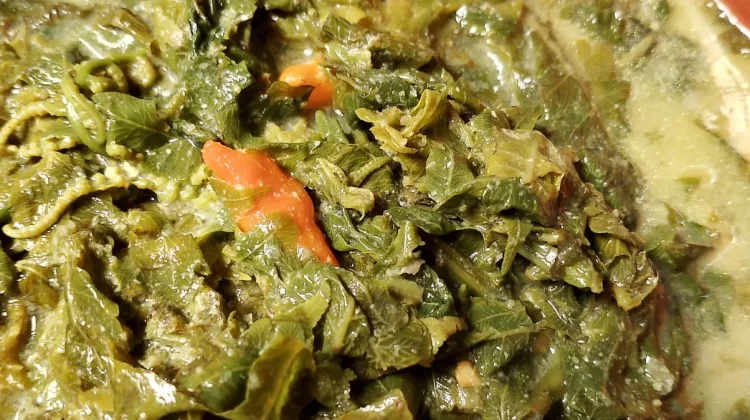 Gulai Santan Sayur Pakis