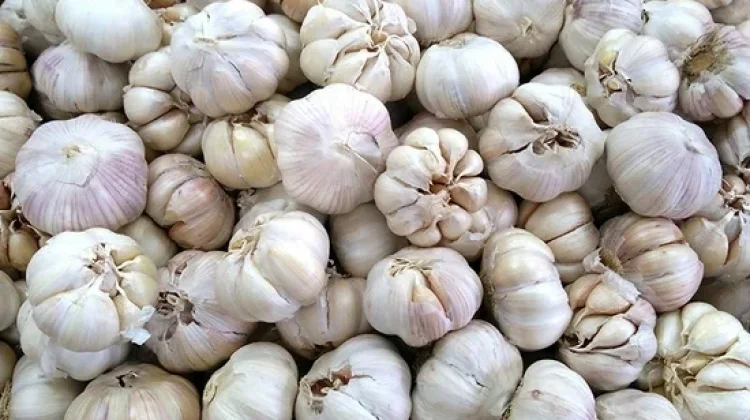Bahan Alami untuk Meredakan Gejala Asma