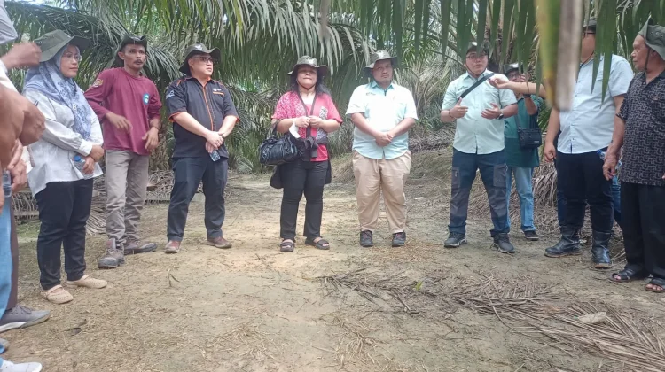 Menyaksikan Langsung Kesuksesan Mitra Petani Sawit Asian Agri