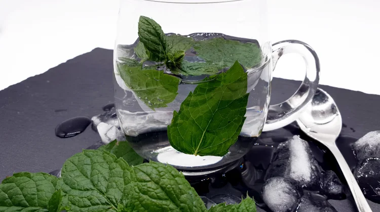 Daun Mint Tidak Hanya Memberi Rasa Segar