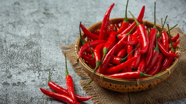 Mengenal Varietas Unggul Jambi: Dari Bawang Putih Jangkiria hingga Cabai Loker