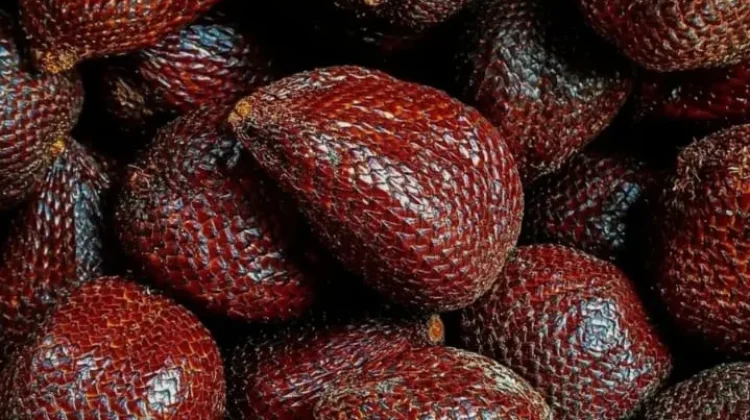 Mitos dan Fakta tentang Salak Menyebabkan Sembelit