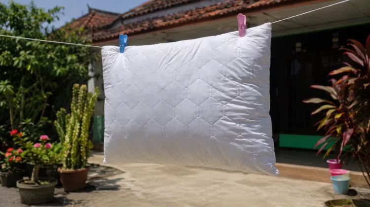 Sering “Salah Bantal”? ternyata Bisa Dipengaruhi Bantal yang Jarang Dijemur