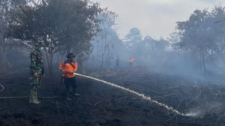 BPBD Tanjab Barat Fokus Antisipasi Karhutla Menjelang Musim Kemarau