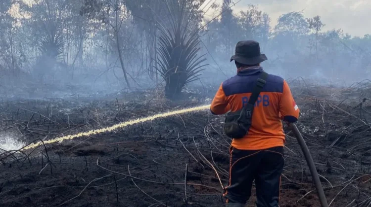 Sejumlah Kecamatan di Tanjab Barat Masuk Zona Rawan Karhutla